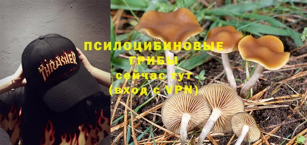 гидра Богородск