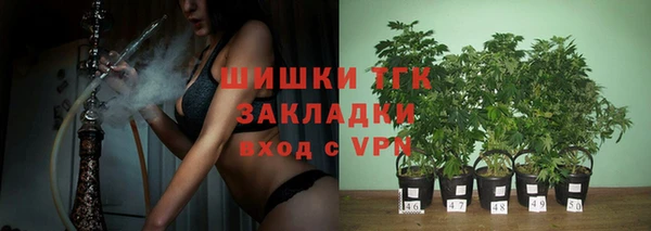 гидра Богородск