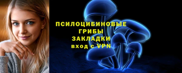 гидра Богородск
