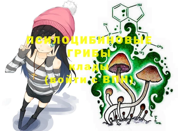 тгк Богородицк
