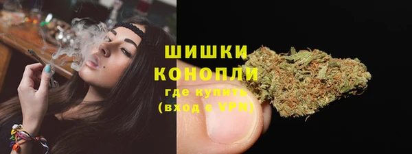 гидра Богородск