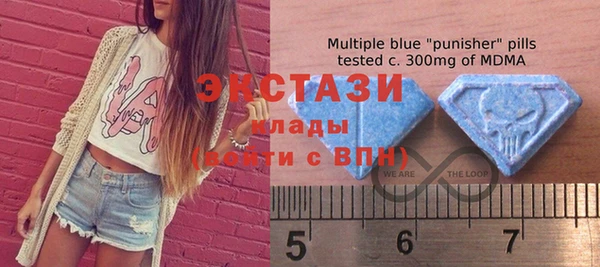 тгк Богородицк