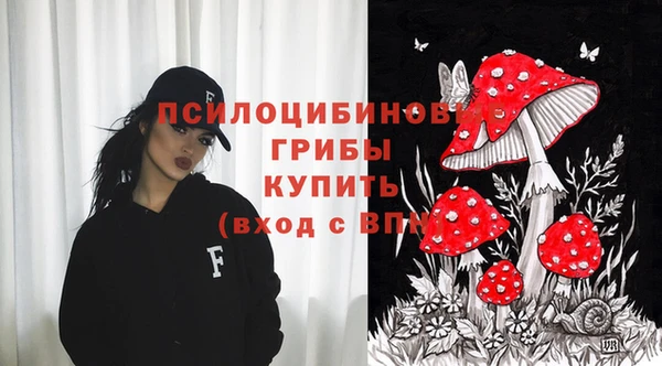 кокаин перу Богданович