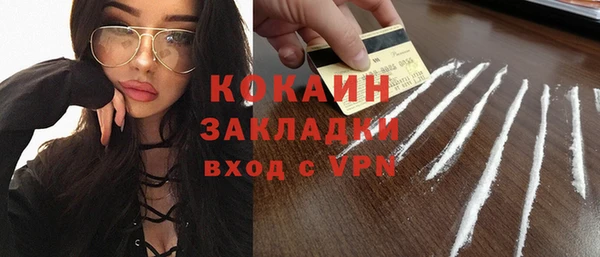 гидра Богородск