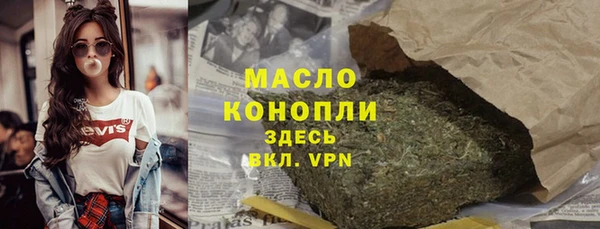 гидра Богородск