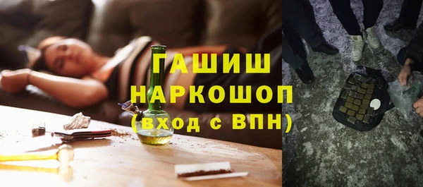 гидра Богородск
