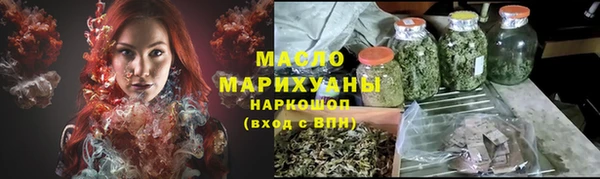 гидра Богородск