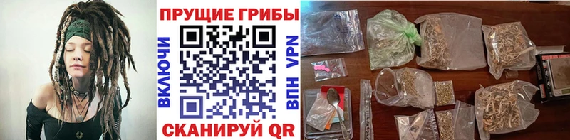 Галлюциногенные грибы Psilocybine cubensis  Мелеуз 